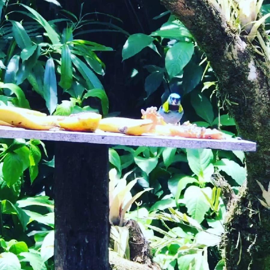 Pousada Recanto Dos Tangaras Juquei Exteriér fotografie